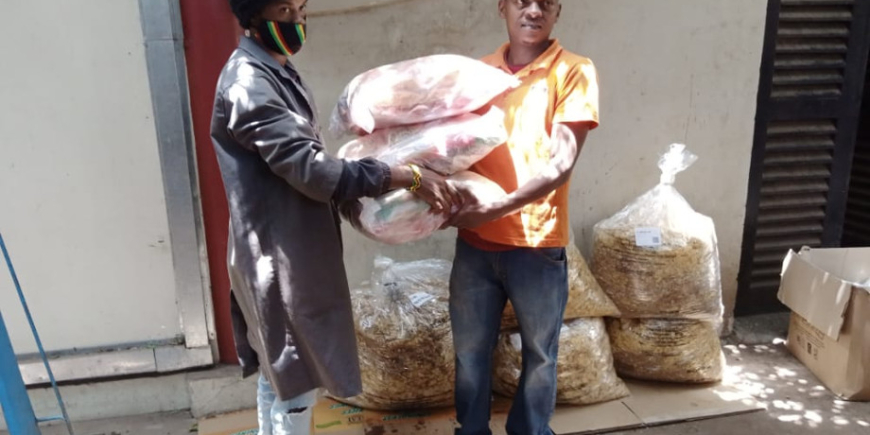 Mama to the Rescue October 17, 2021