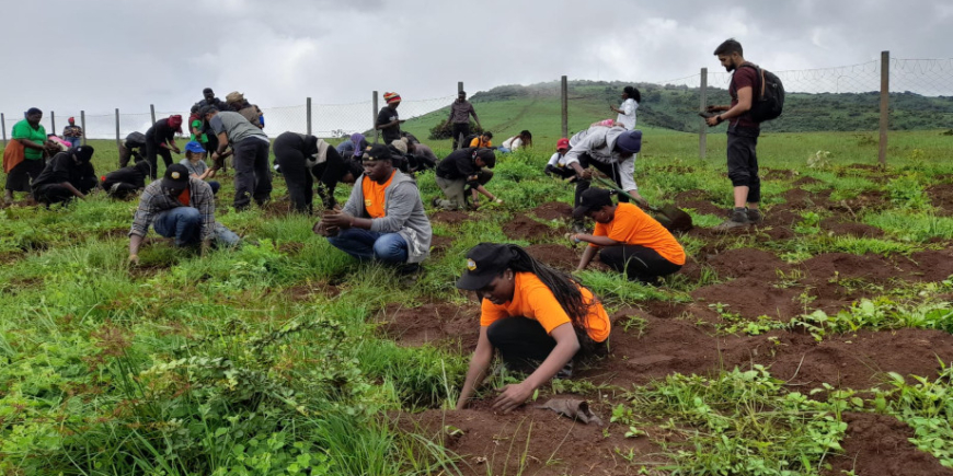 Oshwal Youth League Tree Planting Exercise, 30th April 2023
